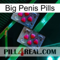 Big Penis Pills 14